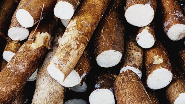 What Cassava Does For Your Body