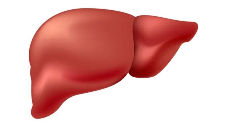 7 Habits That Affects Your Liver