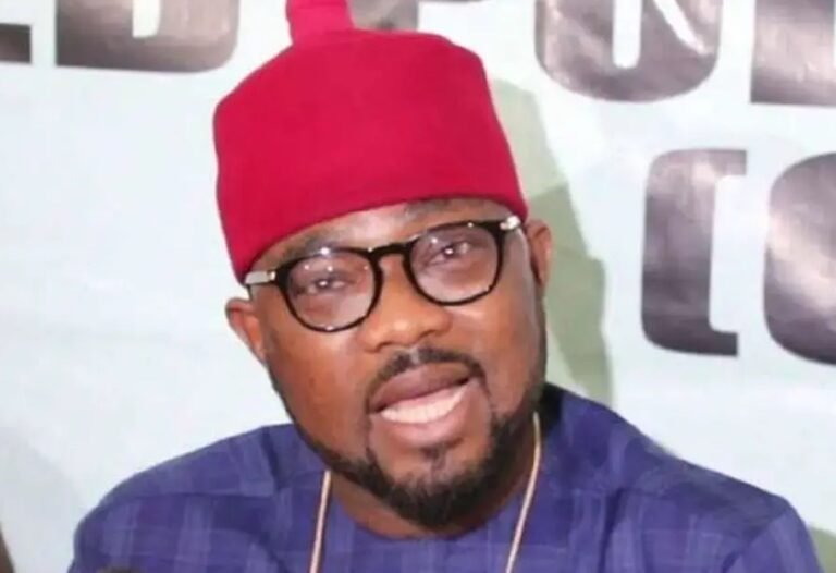 Imo PDP Leaders Ask Court To Sack Rep Ugochinyere